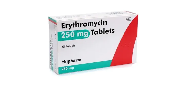 erythromycin