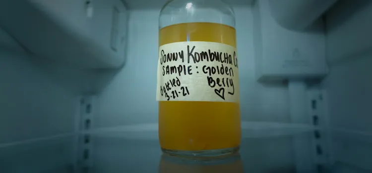 kombucha